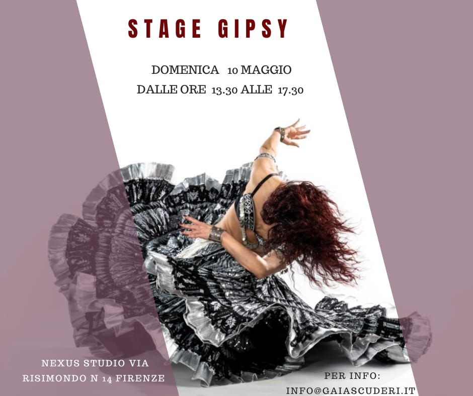Stage sul Gipsy in D.E.A